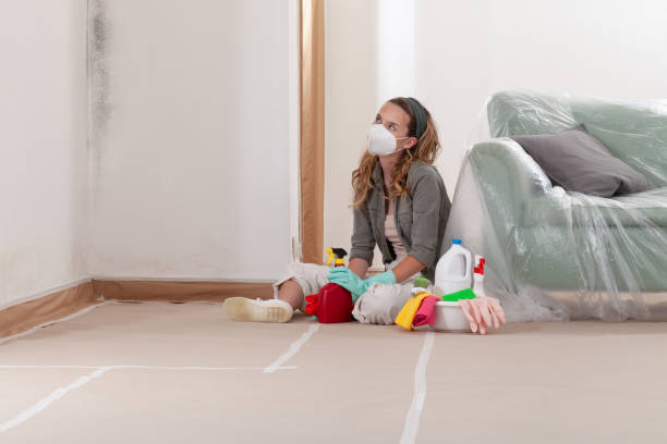 Reliable Mold Remediation contractor in Waldwick, NJ by 24 Hour Mold Removal